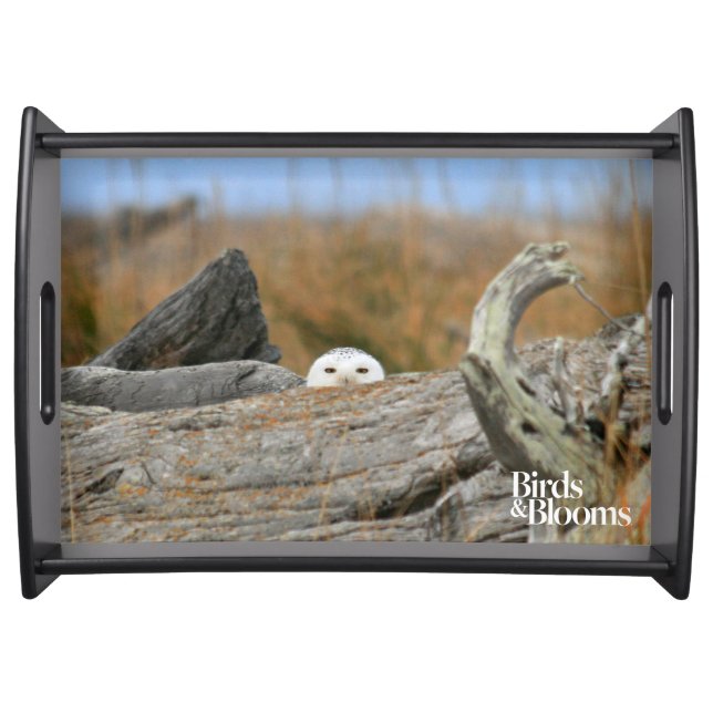 Snowy Owl Serving Tray (Front)