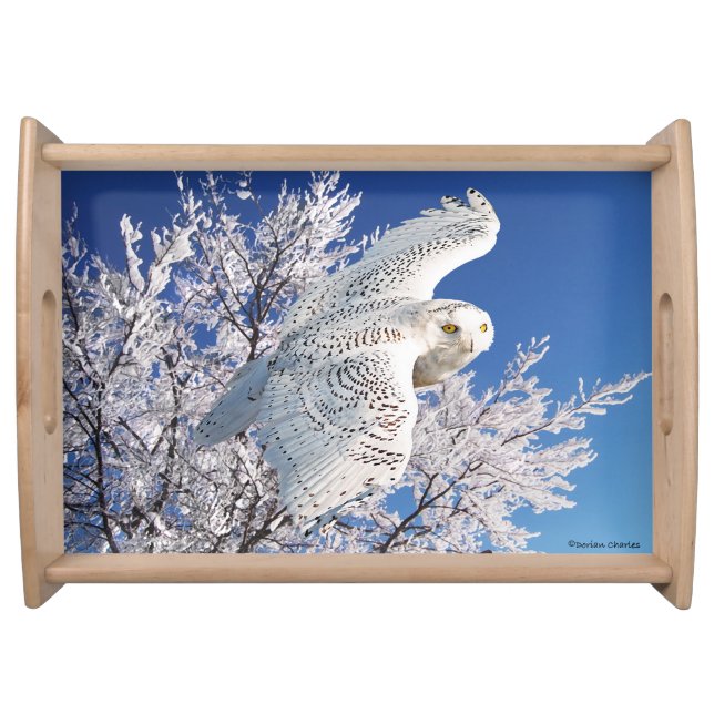 "Snowy Owl" Serving Tray (Front)