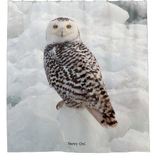Snowy Owl shower curtain