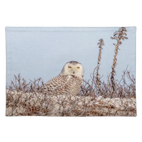 Snowy owl sitting on the beach cloth placemat