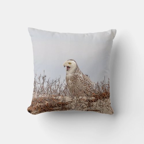 Snowy owl sitting on the beach throw pillow