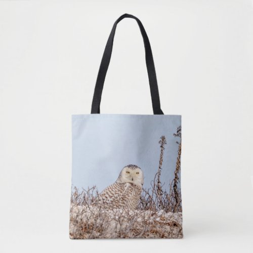 Snowy owl sitting on the beach tote bag
