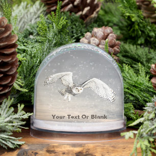 Snowy Owl Snow Globe