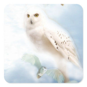 Snowy Owl Square Sticker