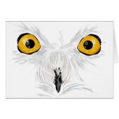 Snowy owl staring (Front Horizontal)