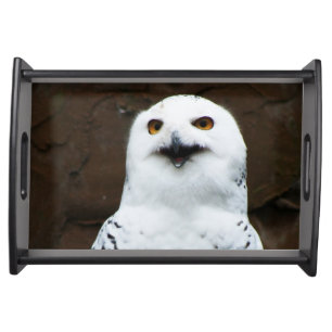 Snowy Owl stwcna Serving Tray