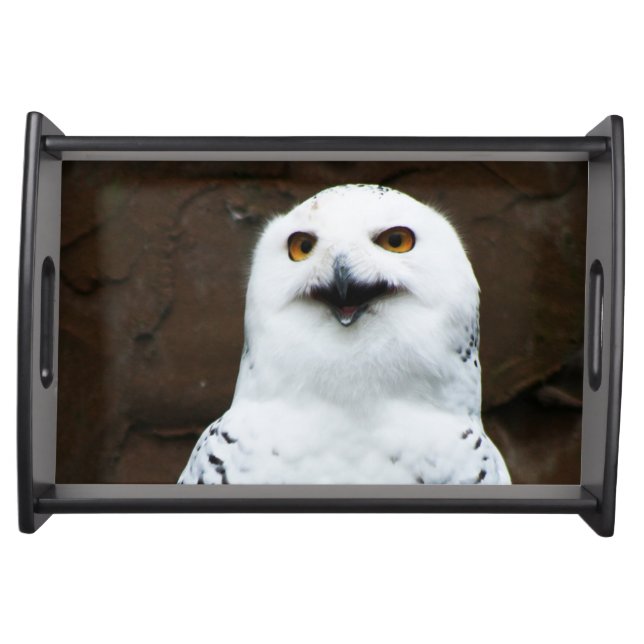 Snowy Owl stwcna Serving Tray (Front)