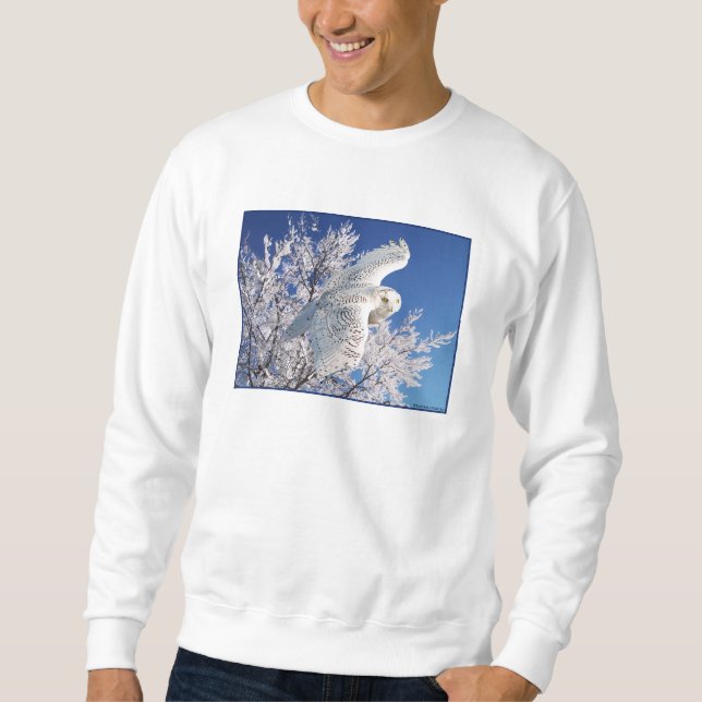 "Snowy Owl" Sweatshirt (Front)