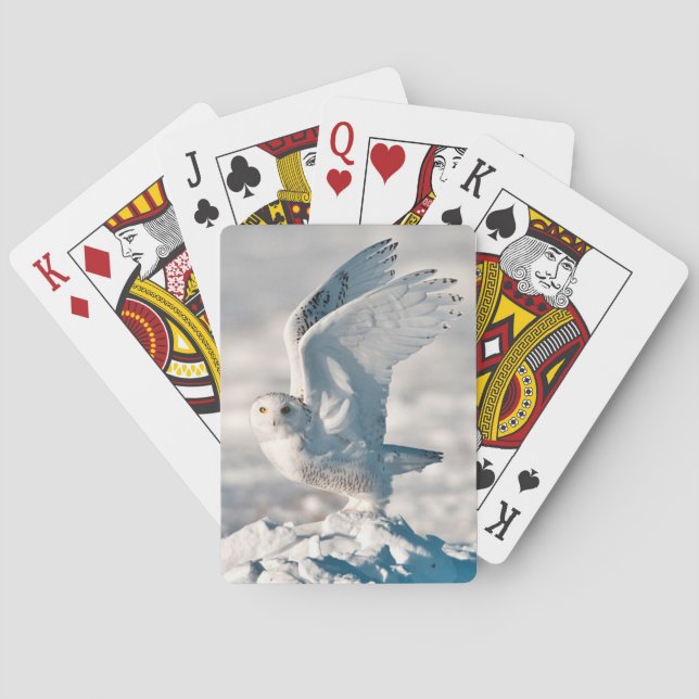 Snowy Owl taking off from snow Poker Cards (Back)