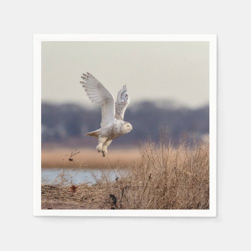 Snowy owl taking off napkins