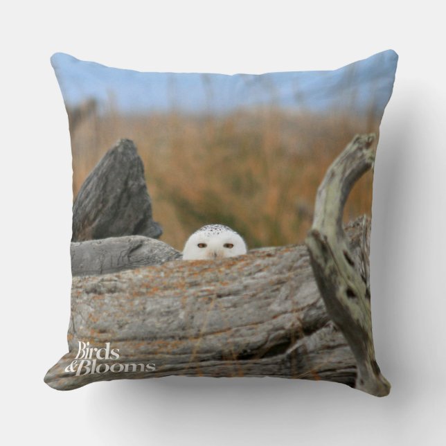 Snowy Owl Throw Pillow (Front)