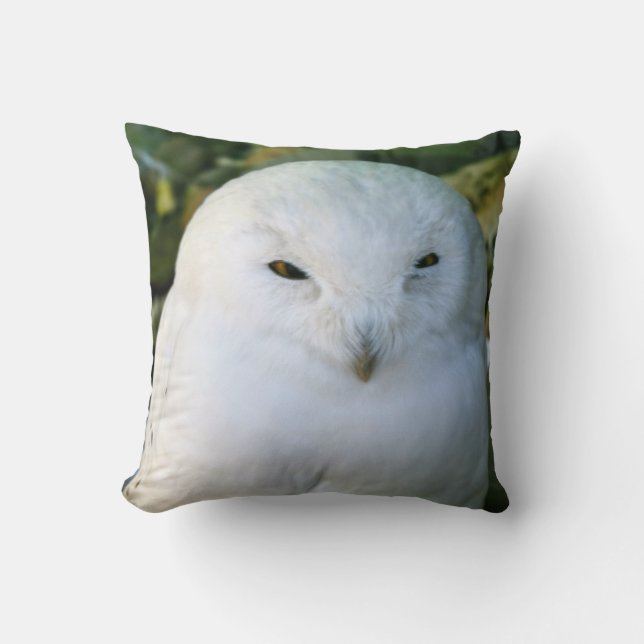 Snowy Owl Throw Pillow (Front)