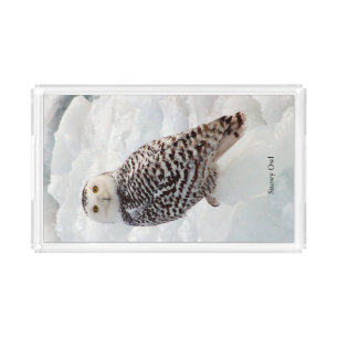Snowy Owl tray