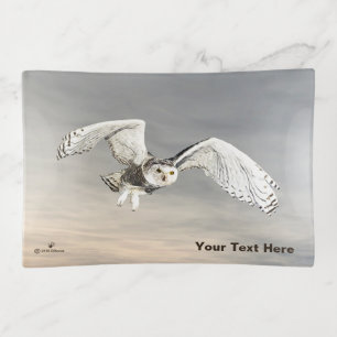 Snowy Owl Trinket Tray