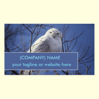 Snowy Owl, White Bird against a Sapphire Blue Sky Double-Sided Standard Business Cards (Pack Of 100)