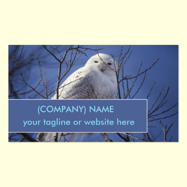 Snowy Owl, White Bird against a Sapphire Blue Sky Double-Sided Standard Business Cards (Pack Of 100)