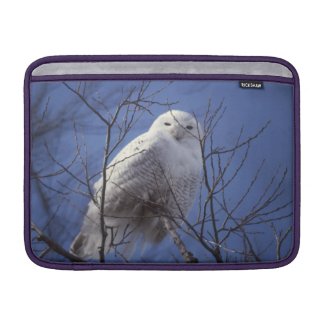 Snowy Owl - White Bird against a Sapphire Blue Sky Sleeves For MacBook Air