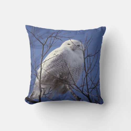 Snowy Owl, White Bird against a Sapphire Blue Sky Throw Pillow