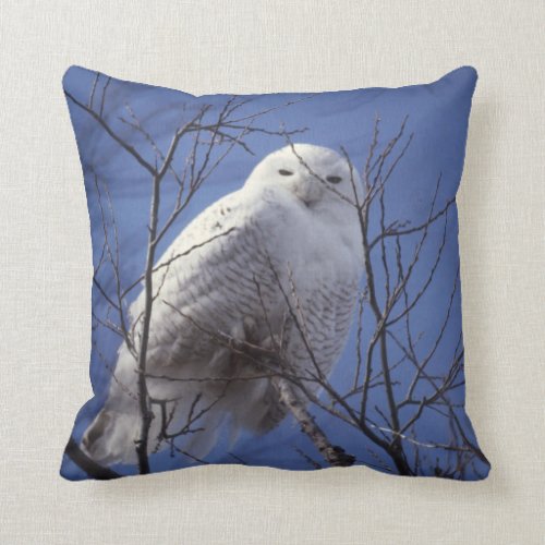 Snowy Owl, White Bird against a Sapphire Blue Sky Throw Pillow