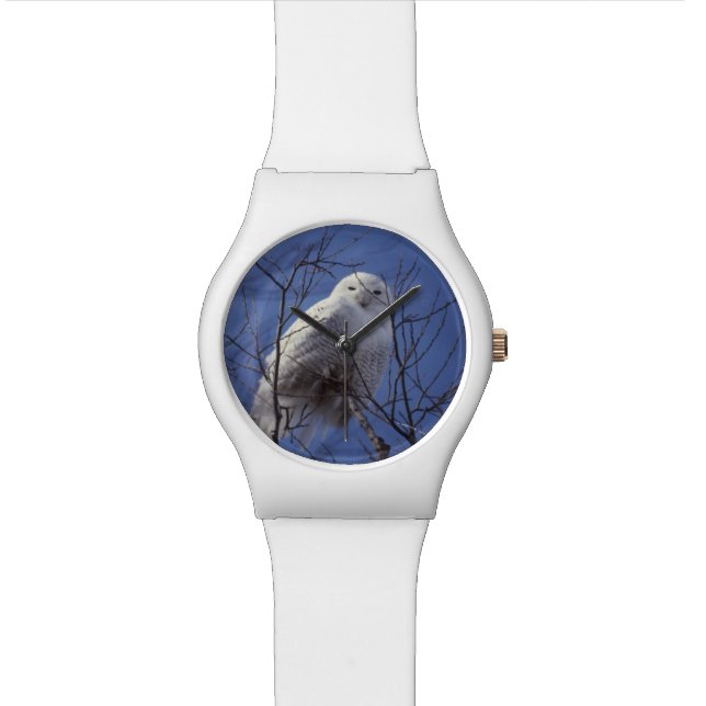 Snowy Owl, White Bird against a Sapphire Blue Sky Wristwatch (Close Up)
