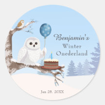 Snowy Owl Winter Onederland Birthday