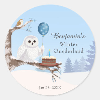 Snowy Owl Winter Onederland Birthday Classic Round Sticker