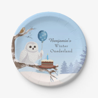 Snowy Owl Winter Onederland Birthday Paper Plates
