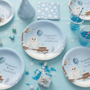 Snowy Owl Winter Onederland Birthday Paper Plates