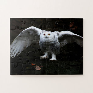 Snowy Owl With Open Wings 11x14 30pc jpcnm Jigsaw Puzzle