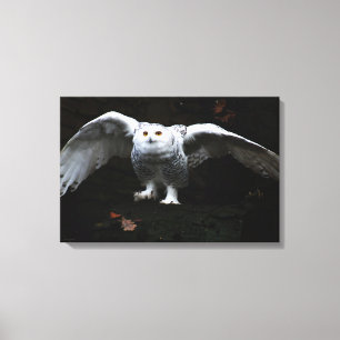 Snowy Owl With Open Wings 24x16 (60x40cm) wacm Canvas Print