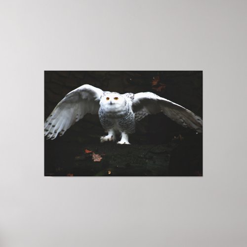 Snowy Owl With Open Wings 60x40 150x100cm waccna Canvas Print