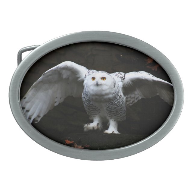 Snowy Owl With Open Wings bbcna Belt Buckle (Front)