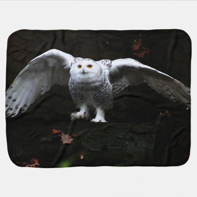 Snowy Owl With Open Wings bbi Baby Blanket (Horizontal)