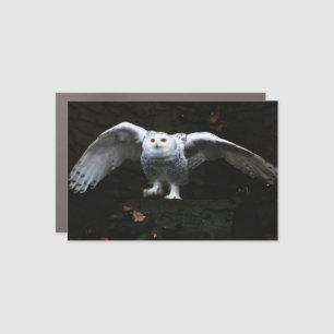 Snowy Owl With Open Wings cmcnm Car Magnet