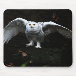 Snowy Owl With Open Wings mpcnm Mouse Pad