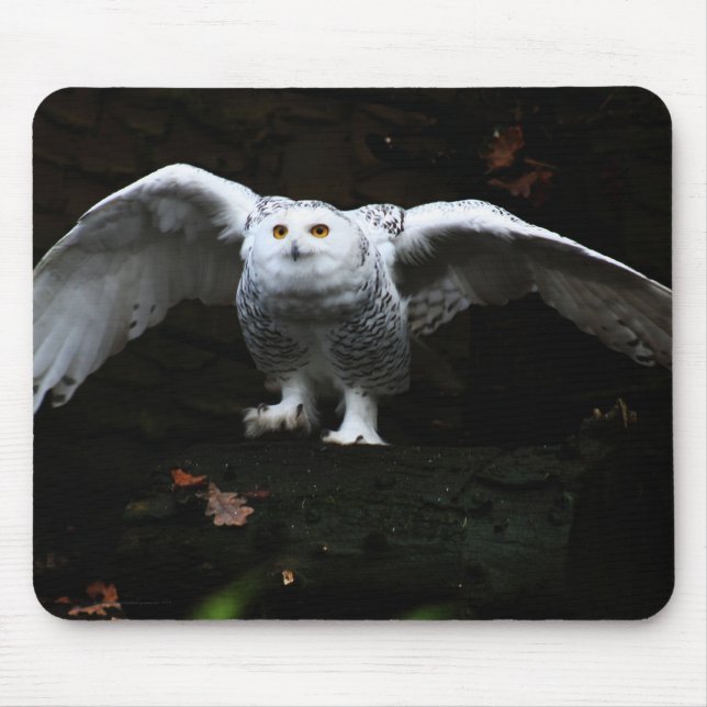 Snowy Owl With Open Wings mpcnm Mouse Pad (Front)