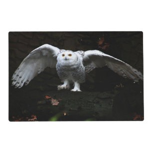 Cloth Placemats White Owls Arctic Animals Winter Owl Bird Snow Navy Set of 2
