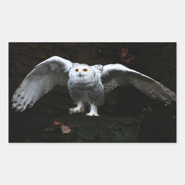 Snowy Owl With Open Wings stcna Rectangular Sticker (Front)