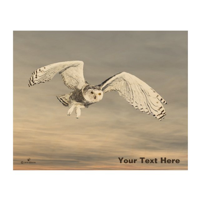 Snowy Owl Wood Wall Art (Front)