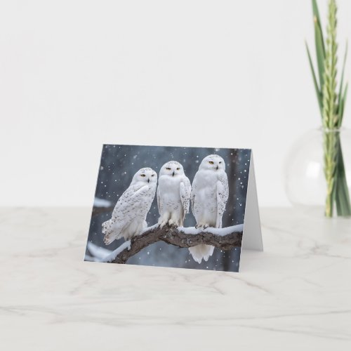 Snowy Owls On Tree Branch Note Card