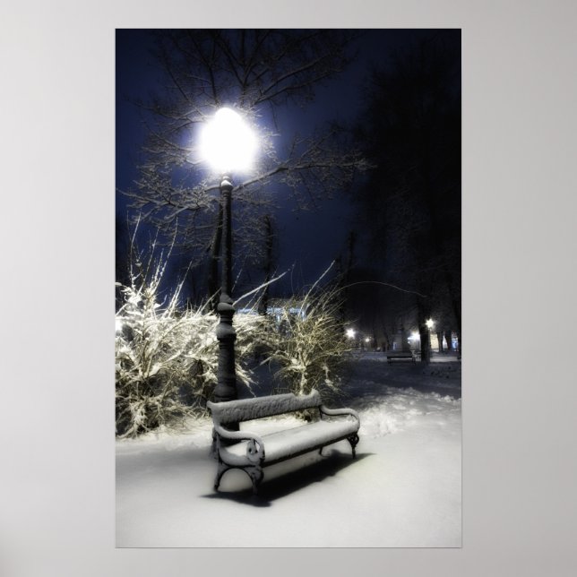 Snowy Park Poster (Front)