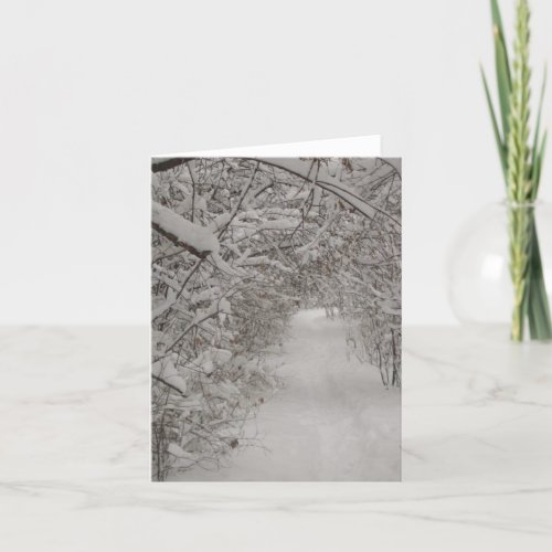 Snowy Path blank note Card