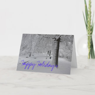 Snowy Path, Happy Holidays Holiday Card