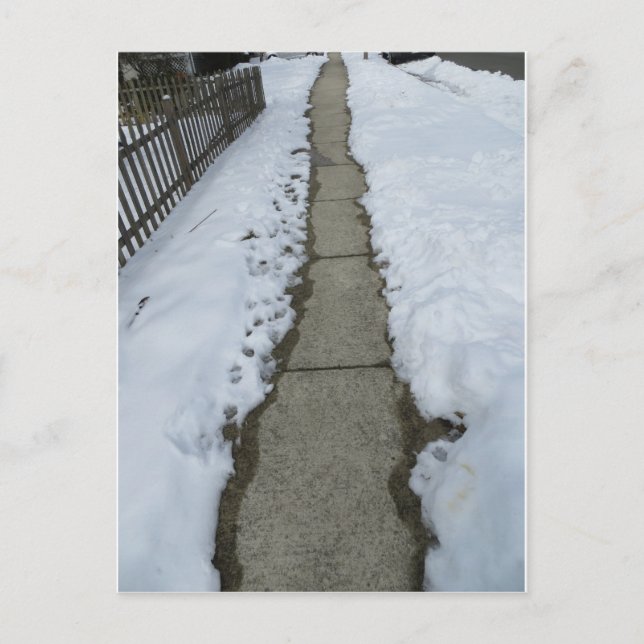 Snowy Path Postcard (Front)