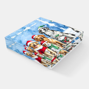 Snowy Paws Festive Cute Christmas Pets Watercolor Paperweight