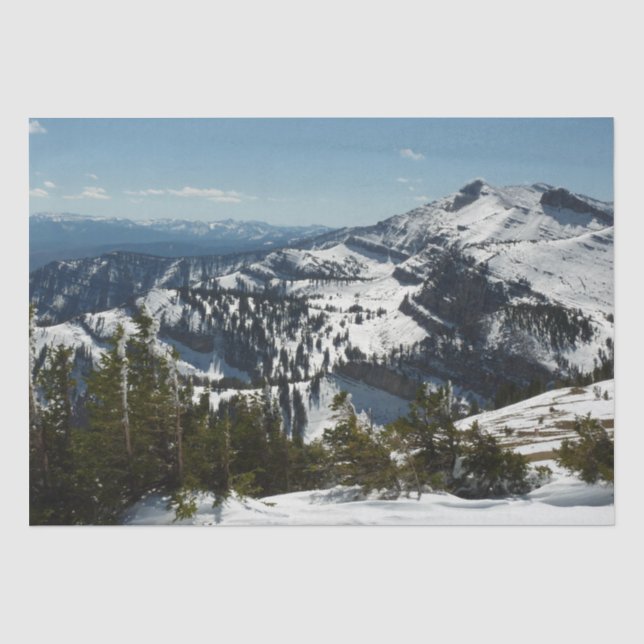 Snowy Peaks of Grand Teton Mountains II Photo Tissue Paper (Front)