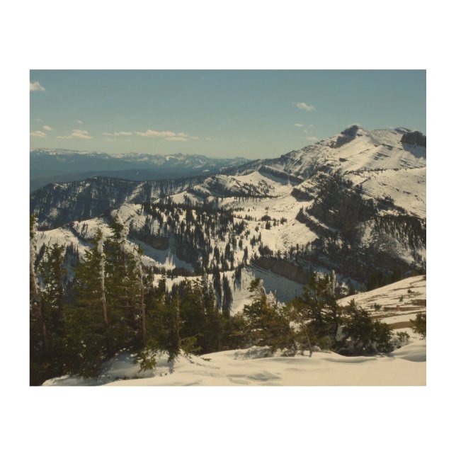 Snowy Peaks of Grand Teton Mountains II Photo Wood Wall Art (Front)