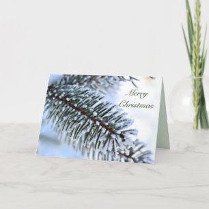 Snowy Pine Branch Christmas Holiday Card