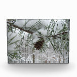 Snowy Pine Branch Photo Block