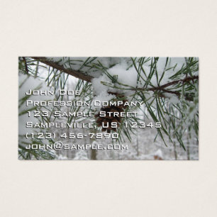 Snowy Pine Branch Winter Nature Photography